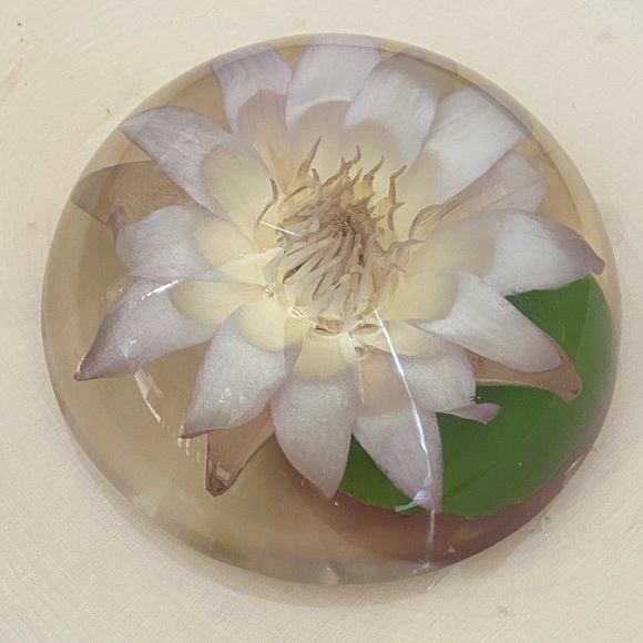 Vintage Lucite Dried Flower Domed Desk Paperweight Clear Plastic Acrylic Decor - Picture 14 of 14